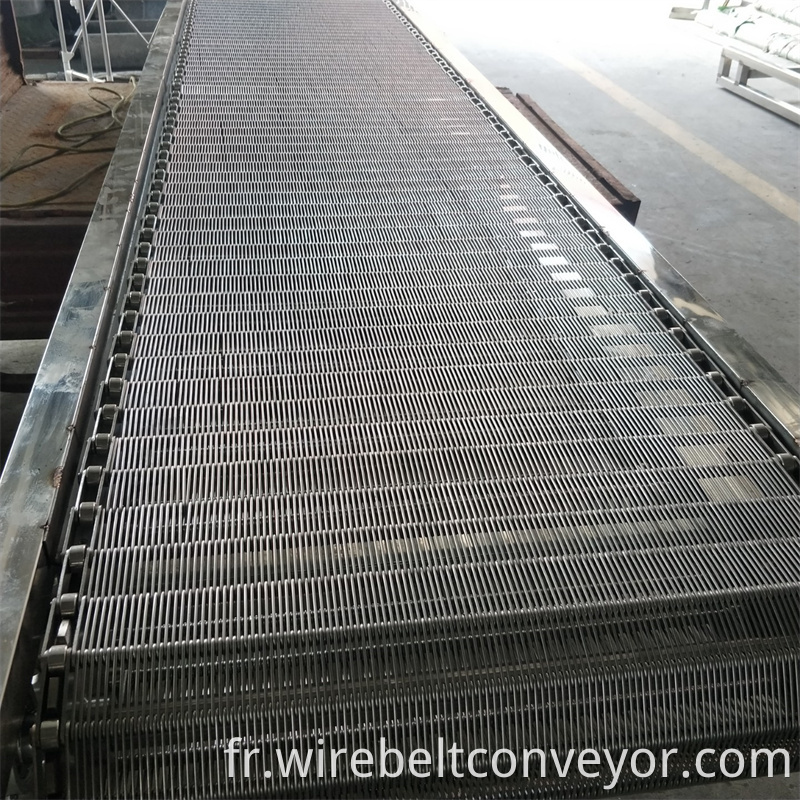Eyelink Belt For Conveyors